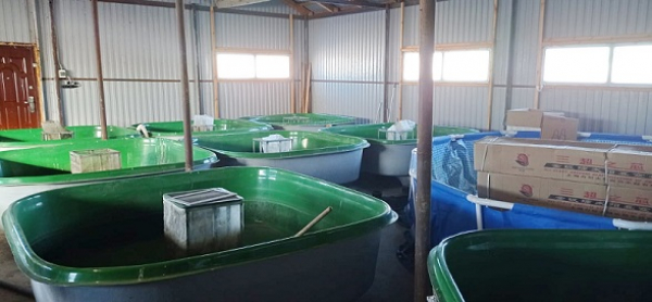 Обследование мощностей рыборазводного цеха в Щучанском районе Курганской области