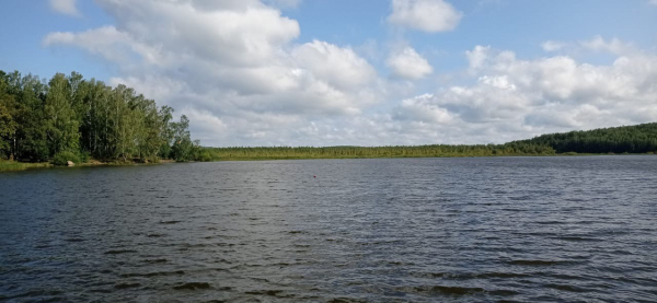 Волчихинское водохранилище пополнилось молодью сазана