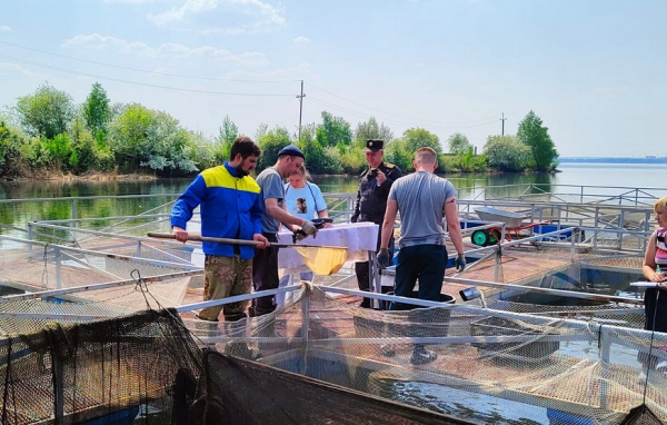 О бонитировке ремонтно-маточных стад рыб на территории ООO Рыбопитомник «Шершни»