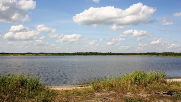 Два озера: Большое и Малое Бутырино