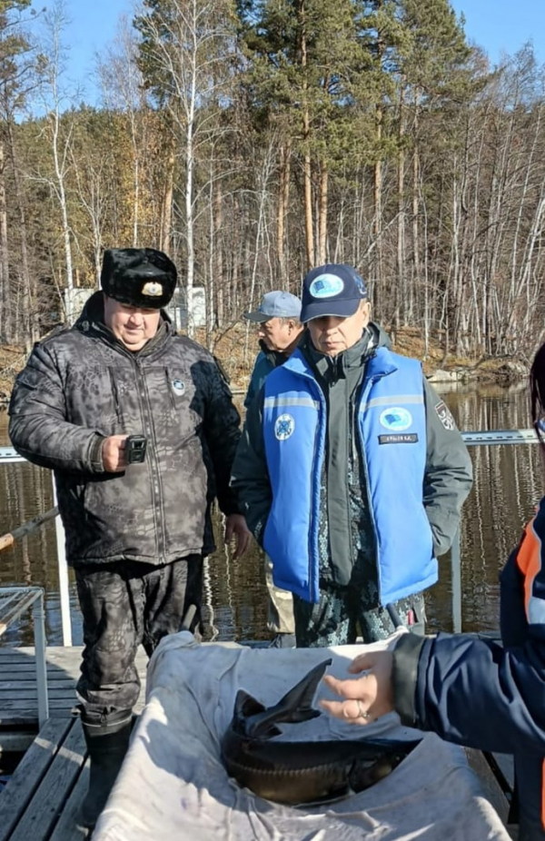 БОНИТИРОВКА РЕМОНТНО-МАТОЧНЫХ СТАД