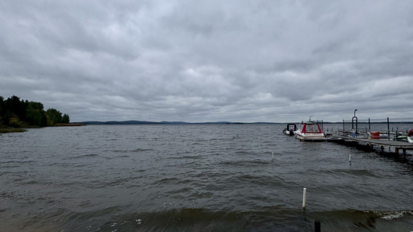 Зарыбления трех свердловских водоемов: Волчихинского водохранилища, Исетского пруда и озера Балтым