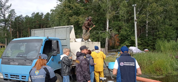 Волчихинское и Новомариинское водохранилища пополнились молодью сазана