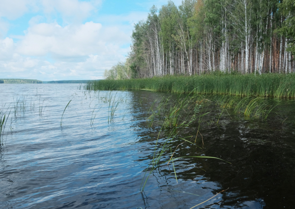 Экспедиционный выезд специалистов на водные объекты Свердловской и Челябинкой области