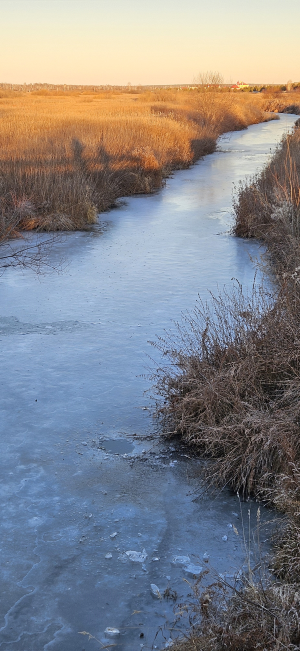 обследование Некрасовских прудов